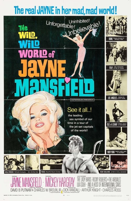 Mansfield Park poster