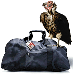 8 Heads in a Duffel Bag