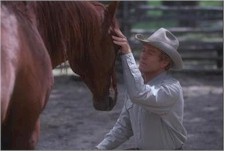 The Horse Whisperer