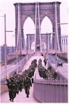 The Siege